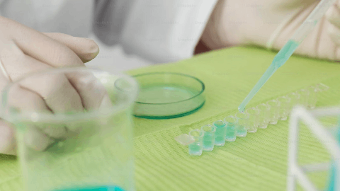 Nuvectis Pharma Announces Successful Completion of a Drug-Drug Interaction Study in Healthy Volunteers Supporting NXP900's Potential as a Combination Partner with Leading Therapies