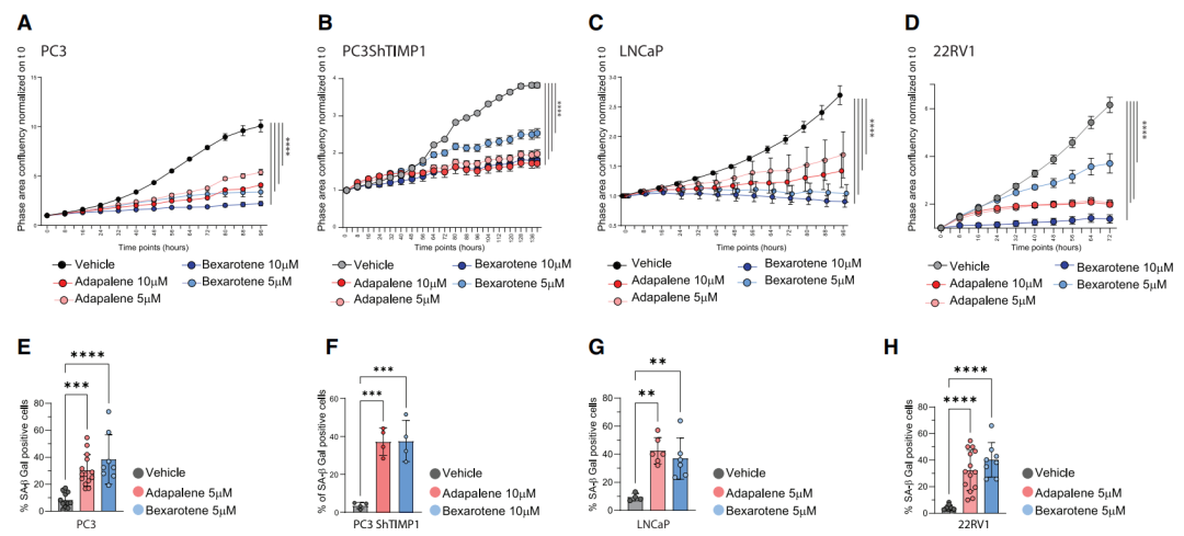 《癌细胞》：抗痘好药一转抗癌赛道！科学家发现阿达帕林能有效激活前列腺癌细胞衰老、增加NK细胞抗肿瘤活性