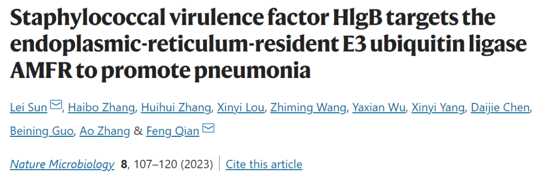 Nature子刊：钱峰团队揭示耐甲氧金黄色葡萄球菌引发肺炎的新机制