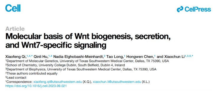 Cell：李晓淳团队揭示Wnt生物发生和分泌以及Wnt7特异性信号的分子基础