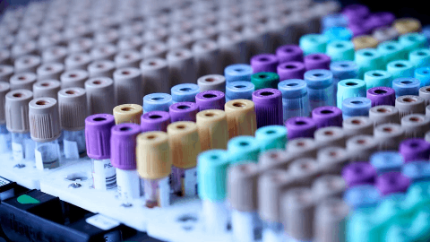 Zydus and Formycon: FYB206 Becomes First Publicly Announced Keytruda® Biosimilar Accepted for Review by USFDA