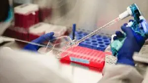 Cogent Biosciences to Initiate New Drug Application (NDA) Submission for Bezuclastinib Under Real-Time Oncology Review (RTOR)