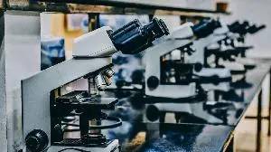 Radiopharm Theranostics Receives Approval to Initiate Phase 1 Therapeutic Trial of RAD 402 (KLK3-mAb with Tb161) in Advanced Prostate Cancer