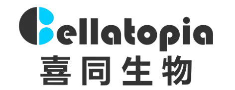 喜同生物（Cellatopia）成功获种子轮融资近千万元，助推生命科学和创新药物研发与商业化进程