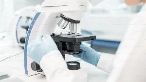 AAVantgarde Bio Announces FDA Fast Track Designation for AAVB-039 for the Treatment of Stargardt Disease