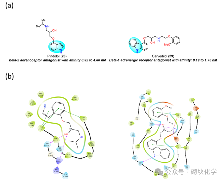 含吲哚药物结构与靶点，药理与SAR 研究归纳