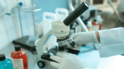 Artax Biopharma presents Phase 2a results for oral Nck modulator AX-158 in late-breaking session at the Society for Investigative Dermatology 2025 Annual Meeting