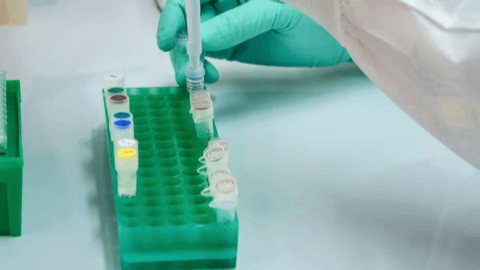 Innovative Molecules Announces Completion of Phase 1 Program and Advancement to Phase 2 for Oral Adibelivir