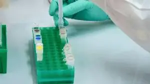 Innovative Molecules Announces Completion of Phase 1 Program and Advancement to Phase 2 for Oral Adibelivir