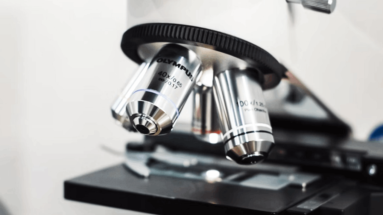 Rhythm Pharmaceuticals Announces Commercial Launch of IMCIVREE® (setmelanotide) in Japan for Patients with Acquired Hypothalamic Obesity
