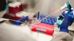 Vascarta Announces Positive Clinical Trial Results for Topical/Transdermal Curcumin Gel VAS-101 in Knee Osteoarthritis