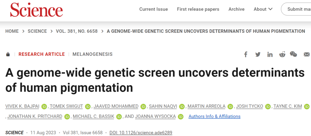 Science：全基因组遗传筛选揭示了人类色素沉着的决定因素