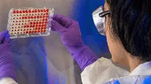 BiomX Announces Positive FDA Feedback Supporting Next-Generation Phage Cocktail Program for Diabetic Foot Infections