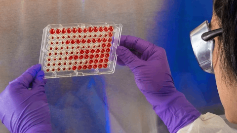 Merck Announces Initial Access Plans for Alimatravir, an Investigational Once-Monthly Oral HIV Pre-Exposure Prophylaxis in Phase 3 Development