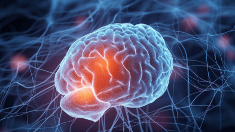 Annovis Bio Secures U.S. Patent for Treatment of Acute Traumatic Brain Injury with Buntanetap