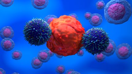 Cellectis starts alemtuzumab revival with FDA orphan drug win in leukaemia