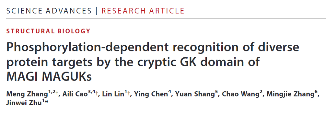 Science Advances：上海交大朱金伟团队发现新型磷酸化蛋白识别模块