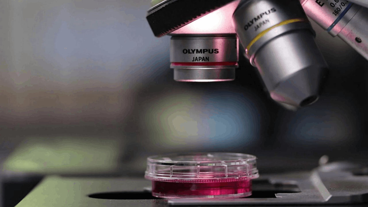 Angitia Biopharmaceuticals Presents Data from Phase 1/2 Study of AGA111 at 2025 AAOS Annual Meeting