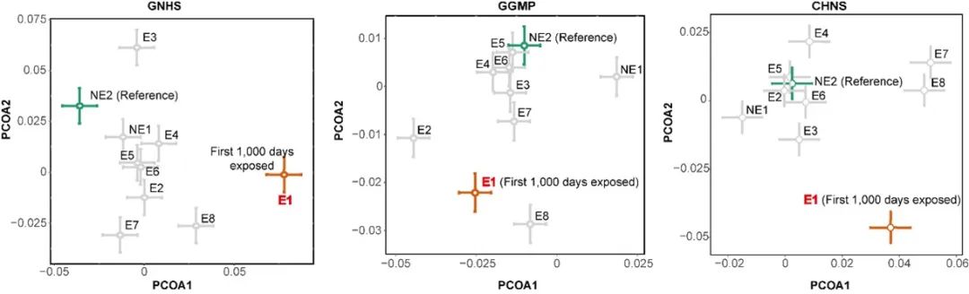 研究人员揭示生命早期饥荒暴露可能通过影响成年后肠道菌群增加糖尿病风险