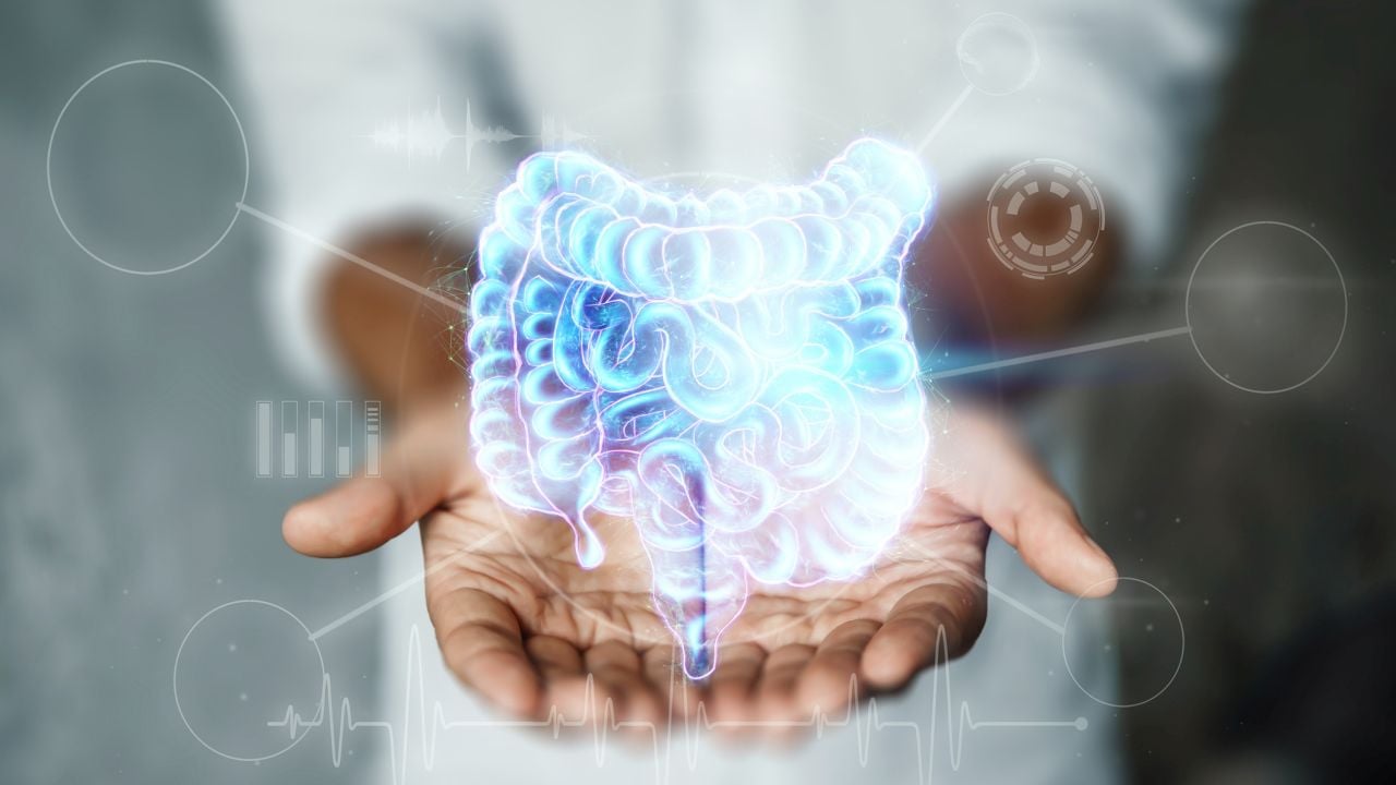 GI-focused CRO Alimentiv ups trial tech with PhaseV’s adaptive machine learning software