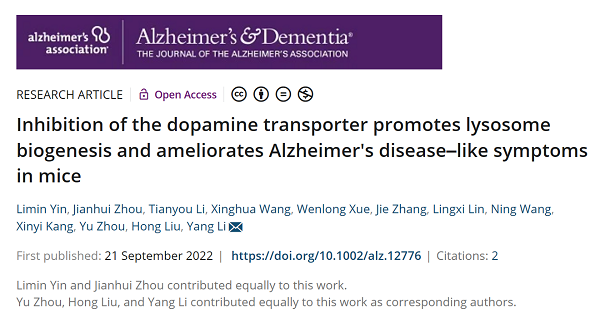 Alzhe & Demen :揭示抑制多巴胺转运体促进溶酶体生成并改善小鼠阿尔茨海默病样症状的机制