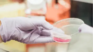 Grünenthal advances proprietary Nociceptin Receptor (NOP) Agonist into Phase II trial in acute pain