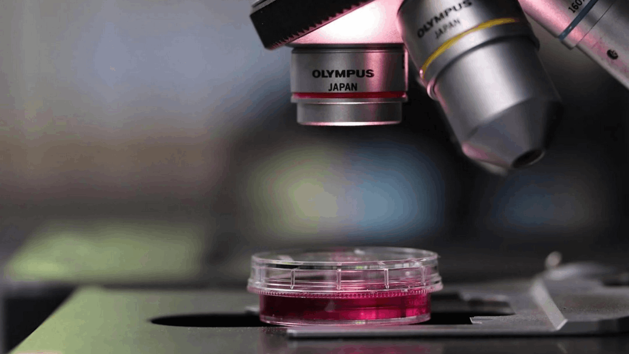 Calidi Biotherapeutics Receives FDA Fast Track Designation for CLD-201 (SuperNova), a First-In-Class Stem-Cell Loaded Viral Therapy for the Treatment of Patients with Soft Tissue Sarcoma