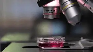 Calidi Biotherapeutics Receives FDA Fast Track Designation for CLD-201 (SuperNova), a First-In-Class Stem-Cell Loaded Viral Therapy for the Treatment of Patients with Soft Tissue Sarcoma