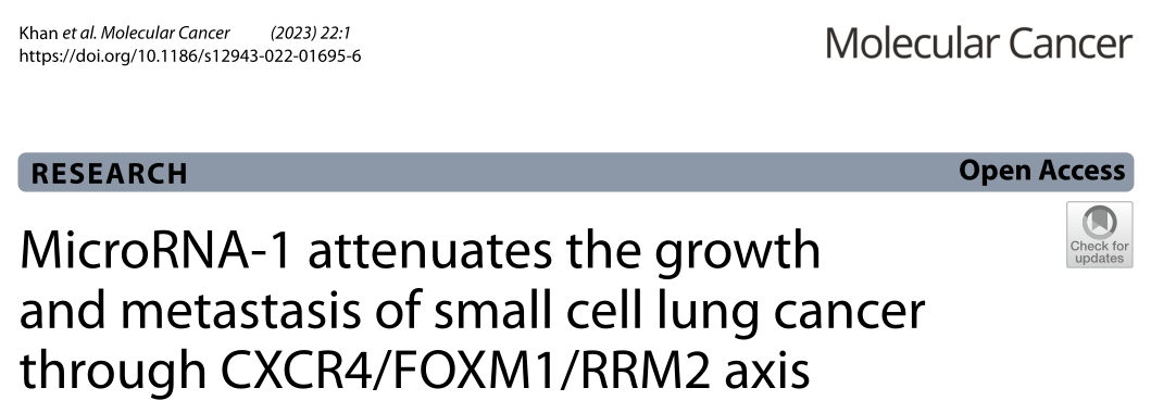 Molecular Cancer: MicroRNA-1通过CXCR4/FOXM1/RRM2轴抑制小细胞肺癌的生长和转移