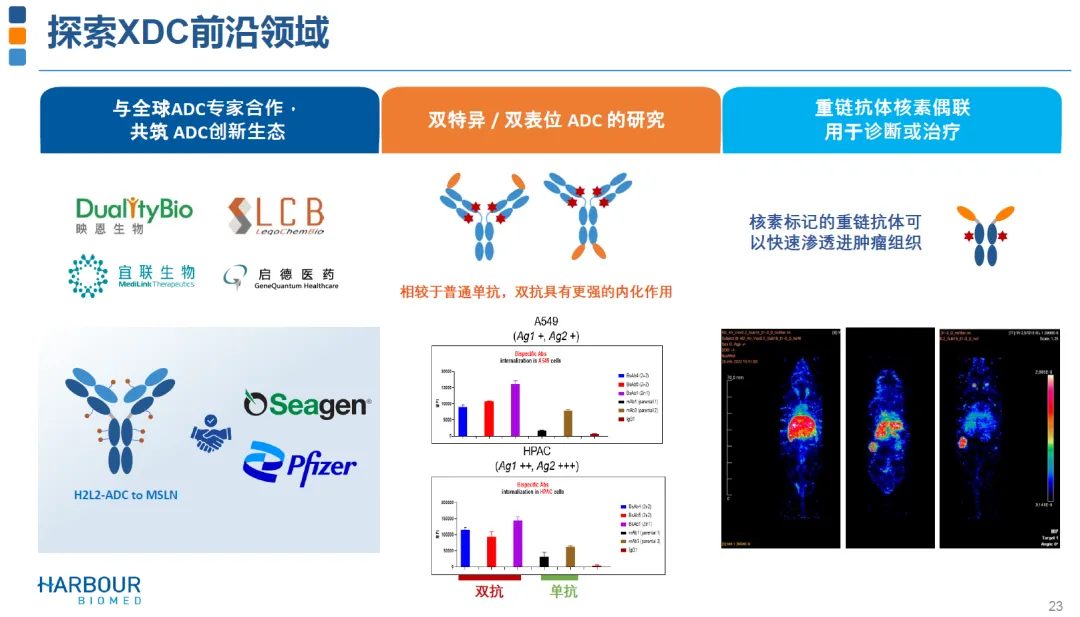 6亿美元：诺纳生物临床前抗肿瘤单抗授权给阿斯利康