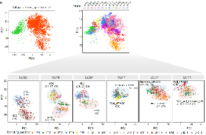 NSR：汤富酬团队揭示胃癌肿瘤异质性及不同分化状态的关键分子特征