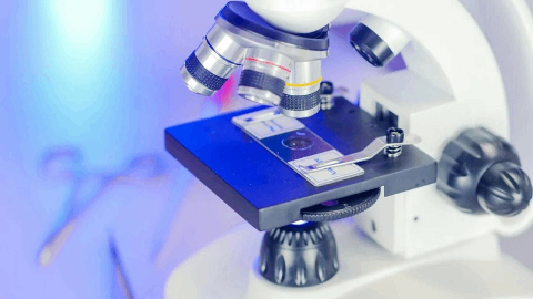 PulseSight Therapeutics Presents New Data on PST-611 Transferrin Vectorized Therapy for Geographic Atrophy at EVER Congress 2024