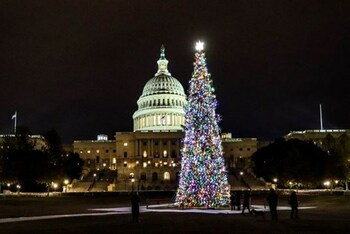 84 Lumber Welcomes 2023 U.S. Capitol Christmas Tree to Morgantown, West Virginia on its way to Washington, D.C.