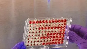 Endeavor BioMedicines' WHISTLE-PF Phase 2b Trial of Taladegib Meets Primary and Key Secondary Endpoints in Patients With IPF