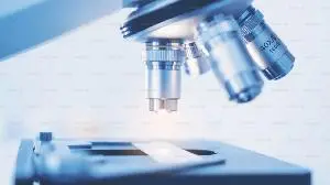 Silver Creek Pharmaceuticals Announces Positive Phase 2 Results for Scp776 in Acute Ischemic Stroke