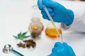 Peer-Reviewed Studies Highlight Cannabinoids’ Role in Safer Pain Management