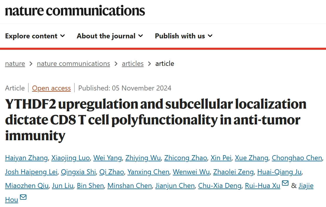 【Nature子刊】澳门大学侯嘉杰团队揭示YTHDF2如何激活CD8 T细胞，引领肿瘤治疗新方向！