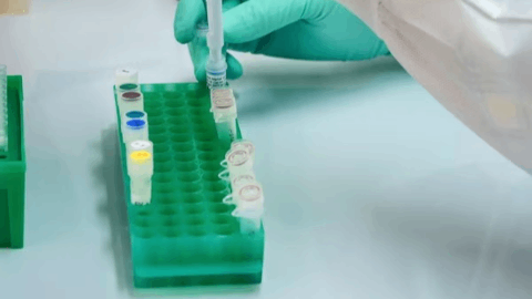 Nurix Therapeutics Presents Preclinical Data from Novel IRAK4 Degrader, GS-6791, Demonstrating Potent Inhibition of IL-1 and IL-36 in Vitro and Efficacy in a Model of Dermatitis