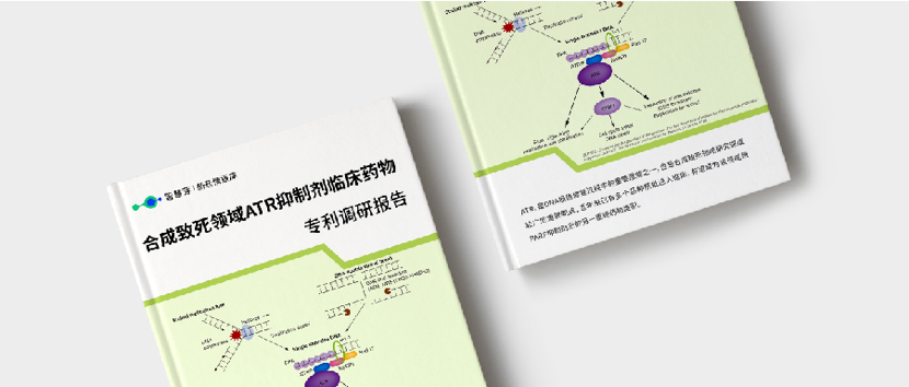 重磅报告｜合成致死领域ATR抑制剂临床药物专利调研报告