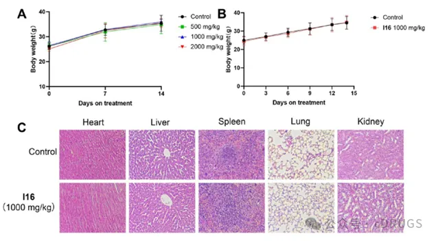 选择性PARP‑1抑制剂的设计和抗肿瘤研究