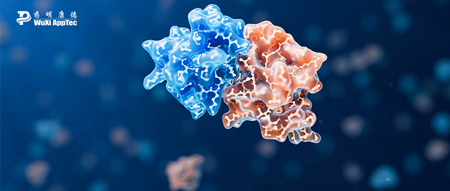 速递 | 近30亿美元！默沙东、Incyte布局分子胶降解剂