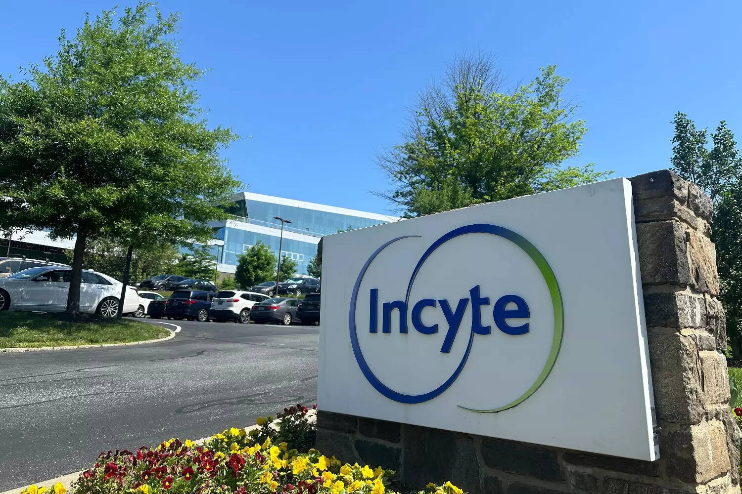 Incyte's skin disease drug fails to impress in late-stage studies; shares drop