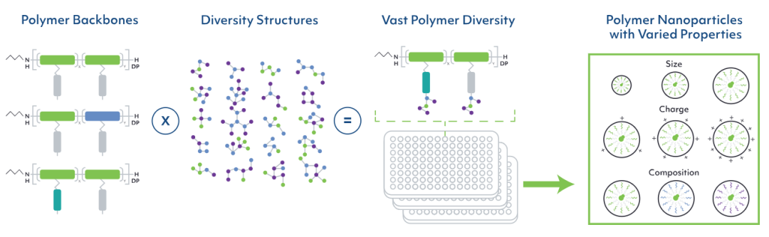 6.44亿美元！GenEdit与基因泰克合作开发自身免疫病核酸药物