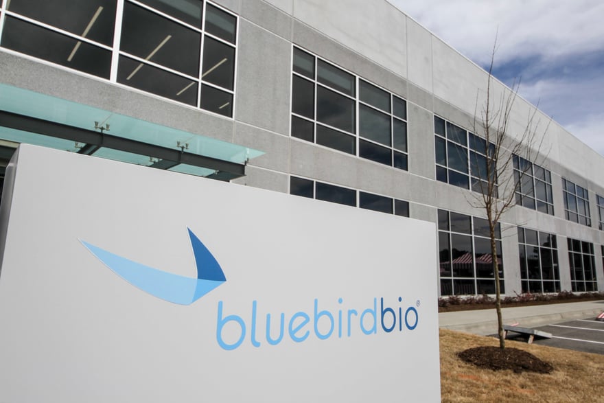 Bluebird stock plummets 18% with slow uptake of sickle cell disease gene therapy Lyfgenia