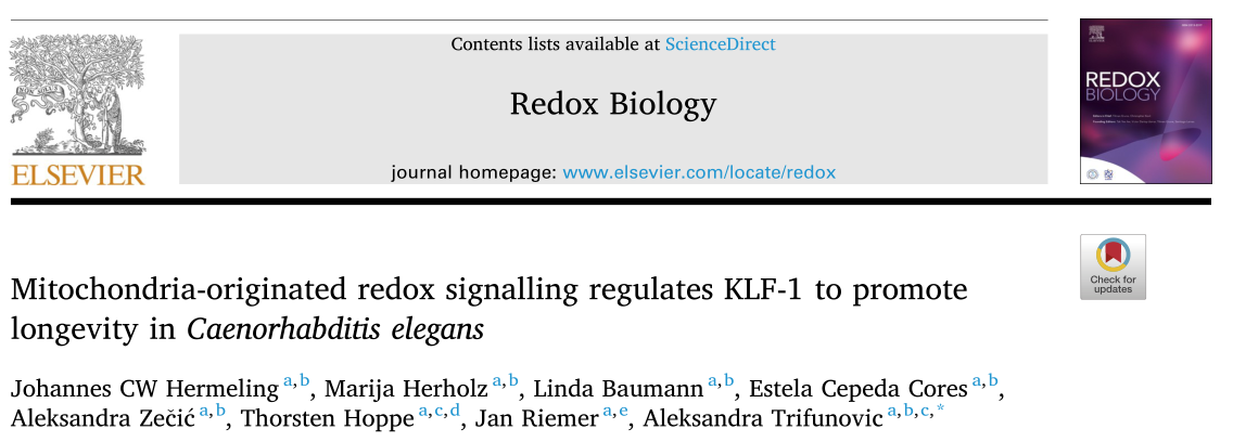 Redox Biology: 线粒体源氧化还原信号调节KLF-1促进秀丽线虫寿命