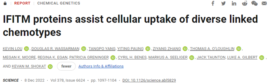 Science：重大进展！发现IFITM蛋白促进细胞高效摄取更大的连接药物分子