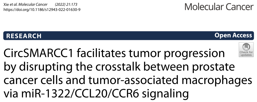 Molecular Cancer : CircSMARCC1通过miR-1322/CCL20/CCR6信号促进肿瘤进展