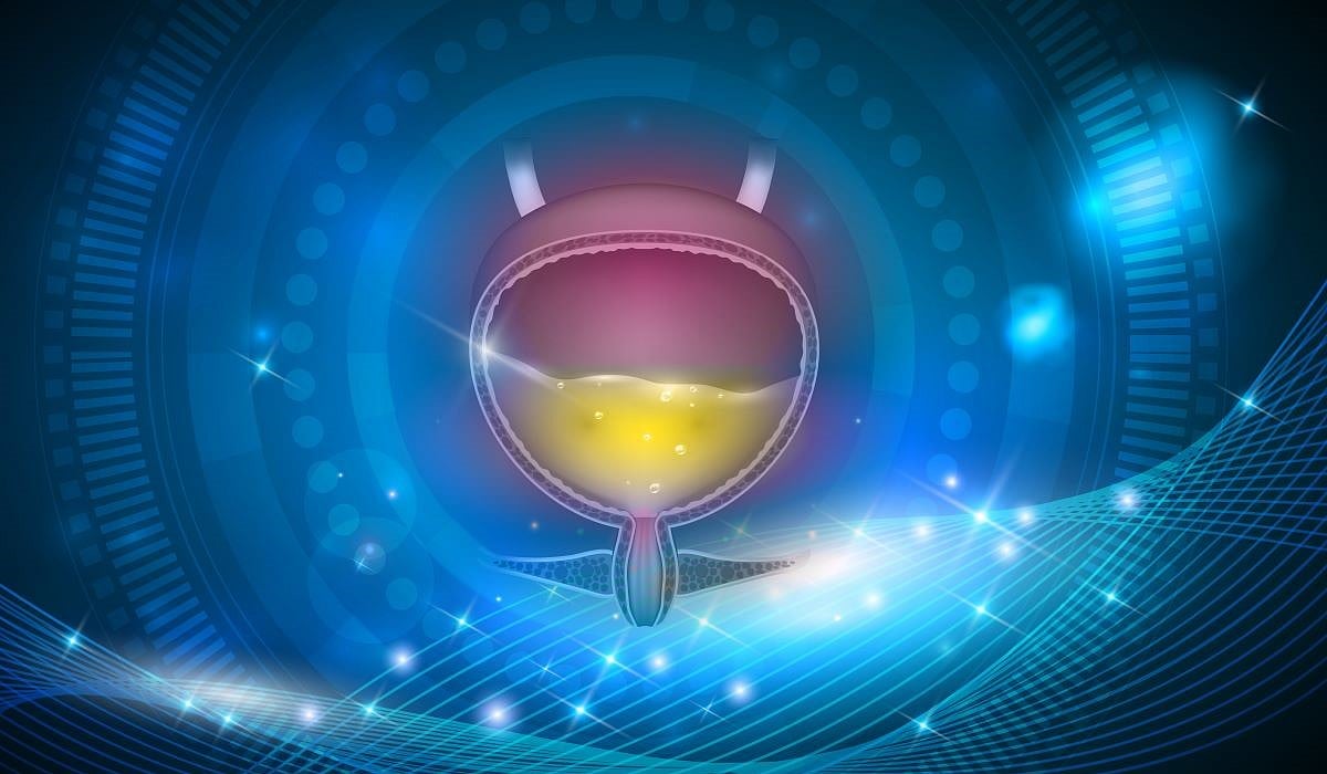 Perioperative Enfortumab Vedotin + Pembrolizumab Tied to Improved Outcomes With Bladder Cancer