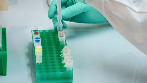 Minovia Therapeutics Announces Two New U.S. Patents Granted, Strengthening Its Mitochondrial Augmentation Therapy Platform