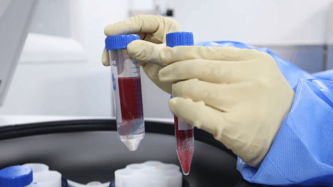 Secura Bio Presents Extended Follow Up Analyses from Phase 2 PRIMO Trial in Patients with Relapsed/Refractory peripheral T-cell lymphoma at the 2025 American Society of Hematology Meeting